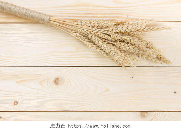 木制桌子上小麦幼穗的顶视图二十四节气24节气芒种小满